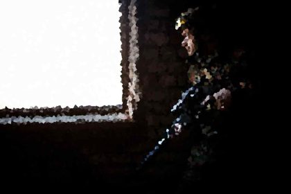 High-contrast, abstract image with a white block on the left and dark, mosaic-like patterns on the right.