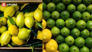 “საქართველოში ლიმონის გაძვირებაა მოსალოდნელი” - თურქეთი ექსპორტს აჩერებს