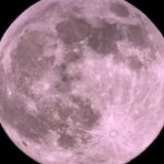 როდის გამოჩნდება ცაზე „ვარდისფერი სავსე მთვარე“?