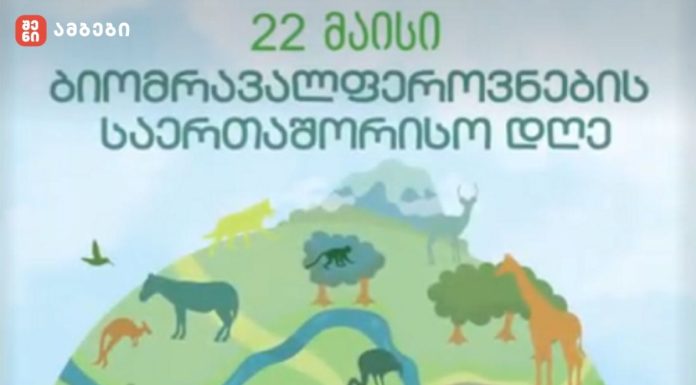 ბიომრავალფეროვნების საერთაშორისო დღე