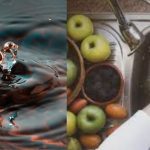 წყლით გადაცემადი დაავადებებისა და საკვებისმიერი ინტოქსიკაციების პროფილაქტიკა