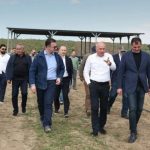 ივრის ფერმები” ნუშის ბაღები