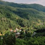 წიწვოვანი ტყით დაფარული აბასთუმანი