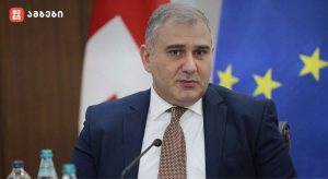 მიხეილ სარჯველაძე