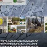 სოფლის განვითარების სააგენტო დიდთოვლობით დაზარალებული ბენეფიციარების დასახმარებლად განაცხადების მიღებას იწყებს