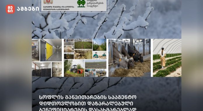 სოფლის განვითარების სააგენტო დიდთოვლობით დაზარალებული ბენეფიციარების დასახმარებლად განაცხადების მიღებას იწყებს