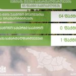 ეროვნული სატყეო სააგენტოს თანამშრომლებმა, მიმდინარე წლის ივნისის თვეში, სამართალდარღვევის 65 ფაქტი გამოავლინეს