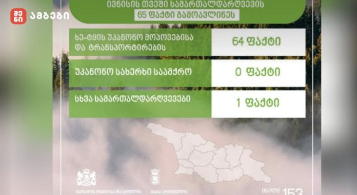 ეროვნული სატყეო სააგენტოს თანამშრომლებმა, მიმდინარე წლის ივნისის თვეში, სამართალდარღვევის 65 ფაქტი გამოავლინეს
