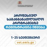 პროფესიულ საგანმანათლებლო პროგრამებზე რეგისტრაცია იწყება
