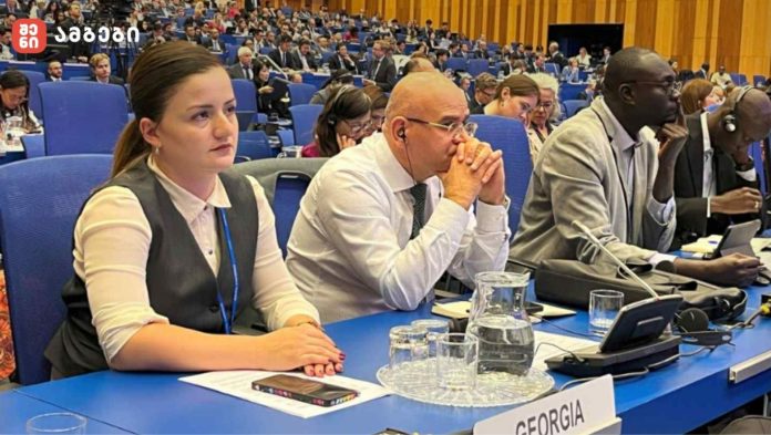 ფორუმის მიზანი ატომური ენერგიის საერთაშორისო სააგენტოს ბიუჯეტის განსაზღვრა, პოლიტიკის შემუშავება და ბირთვული ტექნოლოგიის მშვიდობიან გამოყენებასთან დაკავშირებული საკითხების განხილვაა