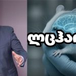 ეს არა მხოლოდ სამეცნიერო მიღწევაა — ეს ნეირომეცნიერების ახალი ეპოქის დასაწყისია – გიორგი ფხაკაძე მეცნიერების ისტორიული მიღწევის შესახებ