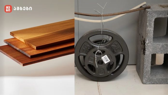 მეცნიერებმა შექმნეს 