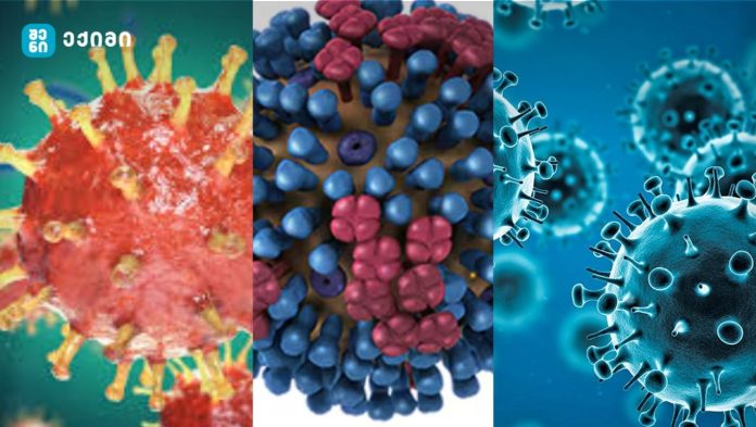 H1N1, ახალი H3N2 „K“ ვარიანტი და რა გველის წინ – გრიპის რთული სეზონი მოდის