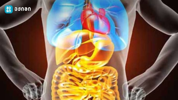 იცი, როგორ გიხმობს შენი სხეული, სანამ ავად გახდები? – შენი სხეული ყოველდღე გესაუბრება — მხოლოდ მოუსმინე