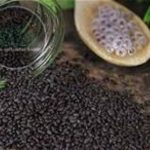 🌿 ბაზილიკის მარცვლები — ბუნებრივი ენერგიისა და ჯანმრთელობის საიდუმლო! 🌿