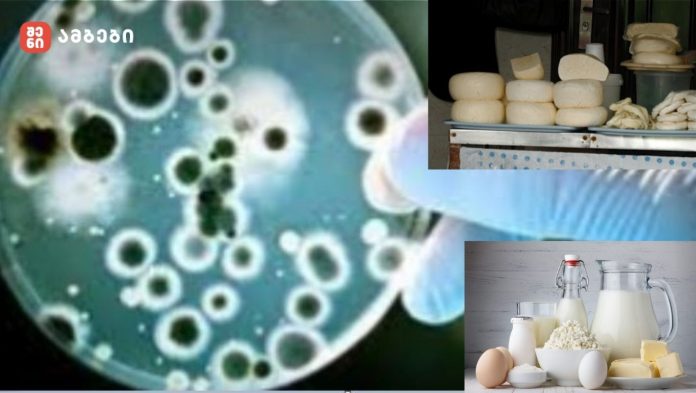 ბრუცელოზი თბილისში - „მამიდაჩემს, სისუფთავესა და ნატურალურ კვებაზე გადარეულ ქალს, დაუდასტურდა ბრუცელოზი, ეჭვი გვაქვს, კუმისიდან ჩამოტანილ ჭყინტ ყველს რომ მიირთმევდა, ესაა მიზეზი“