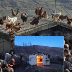გიორგობა გოგნში, ტრადიცია, რომელიც საუკუნეებია გრძელდება - ეს საქართველოში ერთადერთი ეკლესიაა, რომელსაც კარი არ აქვს
