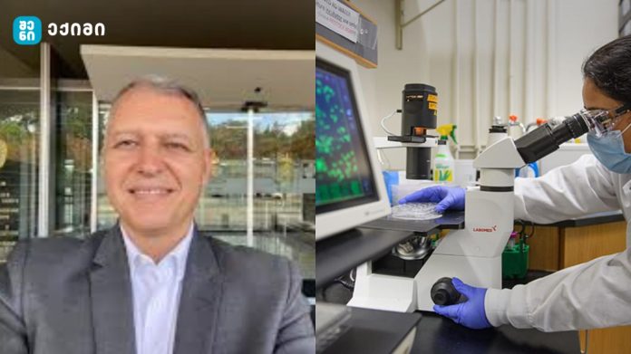 საჭიროა მხოლოდ 4 ინექცია – „ალერგია შეიძლება დასრულდეს“