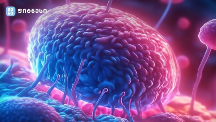 მიოკინები: თქვენი კუნთების საიდუმლო იარაღი – რა არის მიოკინები?