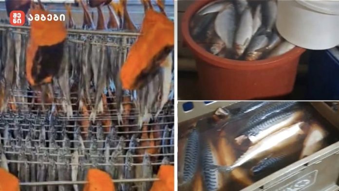 კრიტიკული შეუსაბამობები გამოვლინდა - სურსათის ეროვნული სააგენტო თევზის საწარმოებს ამოწმებს