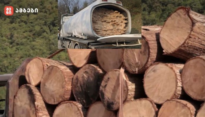 სვანეთში უკანონოდ მოპოვებული ხე-ტყე და ცისტერნაში მოწყობილი სამალავით ტრანსპორტირება - ბენზინმზიდი დაილუქა, ფაქტი სისხლის სამართლის დანაშაულის ნიშნებს შეიცავს