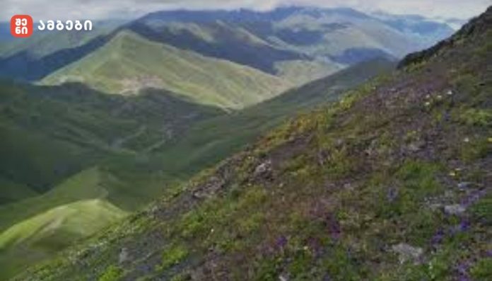 არაგვის დაცული ლანდშაფტის ფართობი 3638 ჰექტრით უნდა გაიზარდოს - არაგვის დაცული ლანდშაფტის საზღვრები გაფართოვდება