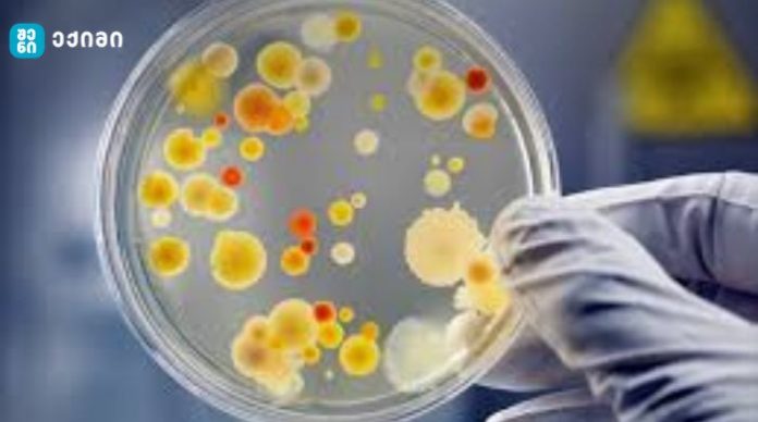 ტოვებს თუ არა იმუნიტეტს, „ღორის გრიპი“?