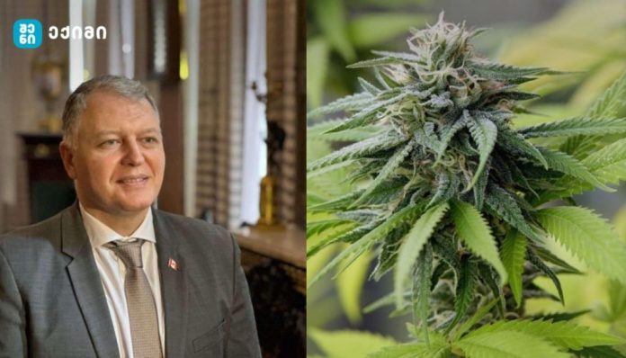 კანაფის სამართლებრივი სტატუსის ცვლილება აშშ-ში - კანაფთან დაკავშირებით რა გადაწყვეტილებაზე საუბრობს გიორგი ფხაკაძე