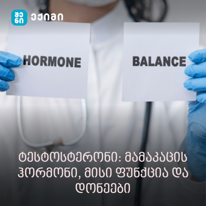 ტესტოსტერონი: მამაკაცის ჰორმონი, მისი ფუნქცია და დონეები – რა იწვევს ტესტოსტერონის მაღალ დონეს? რა არის ნორმა და რა გავლენას ახდენს ის ქალისა თუ მამაკაცის ორგანიზმში?