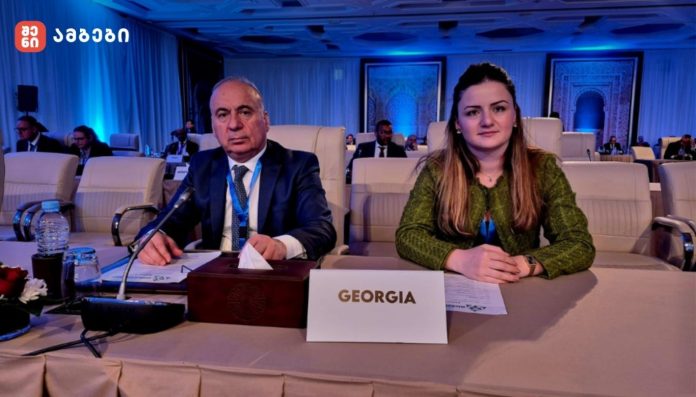 სოლომონ პავლიაშვილი: რადიაციული და ბირთვული ტერორიზმის პრევენციასთან დაკავშირებულ გლობალურ ფორუმში მონაწილეობა ხელს უწყობს ქვეყნის ეროვნული შესაძლებლობების გაძლიერებას