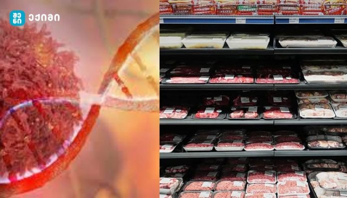 „ყველაზე მაღალი რისკის, კიბოს გამომწვევი პროდუქტებია” – მარი მალაზონია