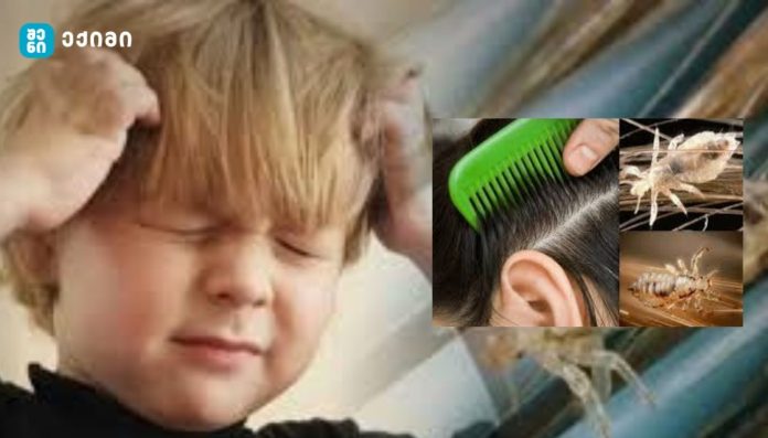 “კატეგორიულად მიუღებელია, ეს არის შხამი, შხამს ხომ არავინ ვასმევთ ბავშვებს?” – საგანგაშო ინფორმაცია, გაფრთხილება მშობლებს!
