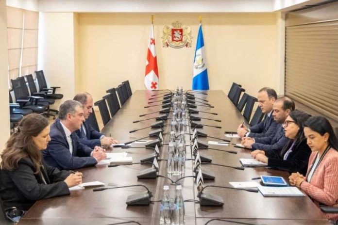 შეხვედრაზე მხარეებმა ორ ქვეყანას შორის ურთიერთობები და თავდაცვის სფეროში სამომავლო თანამშრომლობის პერსპექტივები განიხილეს