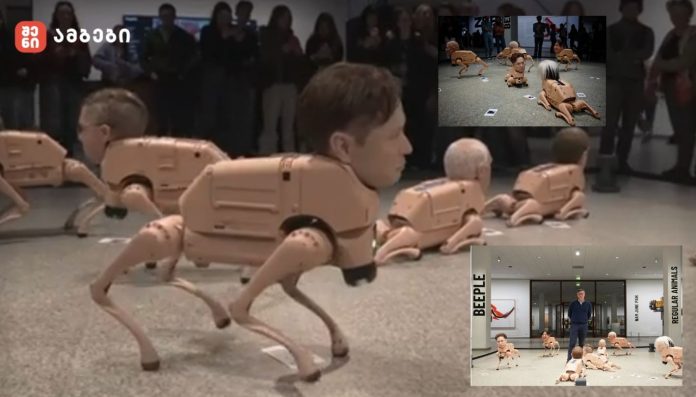 ბერ­ლი­ნის მუ­ზე­უ­მში რო­ბო­ტი ძაღ­ლე­ბი და­სე­ირ­ნო­ბენ, რომ­ლებ­საც მსოფ­ლი­ო­ში ცნო­ბი­ლი ადა­მი­ა­ნე­ბის - ელონ მას­კის, მარკ ცუ­კერ­ბერ­გის, ჯეფ ბე­ზო­სის, ენდი უორ­ჰო­ლი­სა და პაბ­ლო პი­კა­სოს რე­ა­ლის­ტუ­რი სი­ლი­კო­ნის თა­ვე­ბი აქვთ მორ­გე­ბუ­ლი