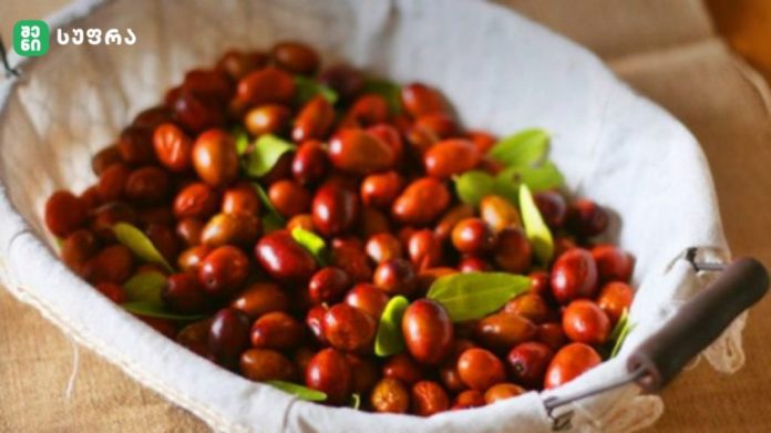 Basket of fresh red jujubes in a light cloth bag with green leaves nearby.
