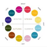 Circular color wheel of seasonal palettes on bright–soft and warm–cool axes, labeled with True/Dark/Bright Winter, Bright/True Spring, True Summer, Soft Summer, Soft Autumn, True Autumn, Dark Autumn, Light Spring, Light Summer, and related color terms.