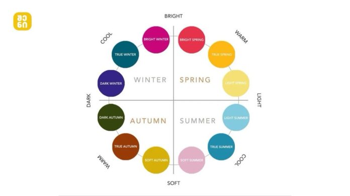 Circular color wheel of seasonal palettes on bright–soft and warm–cool axes, labeled with True/Dark/Bright Winter, Bright/True Spring, True Summer, Soft Summer, Soft Autumn, True Autumn, Dark Autumn, Light Spring, Light Summer, and related color terms.