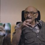 Elderly man with glasses sits in a chair, gesturing, with wolf and dog photos on the wall behind him.