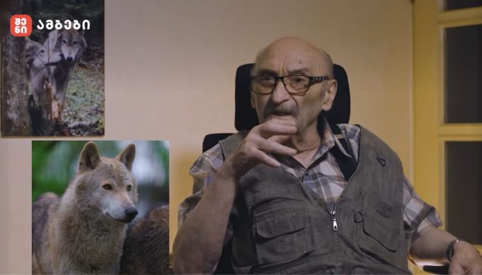 Elderly man with glasses sits in a chair, gesturing, with wolf and dog photos on the wall behind him.