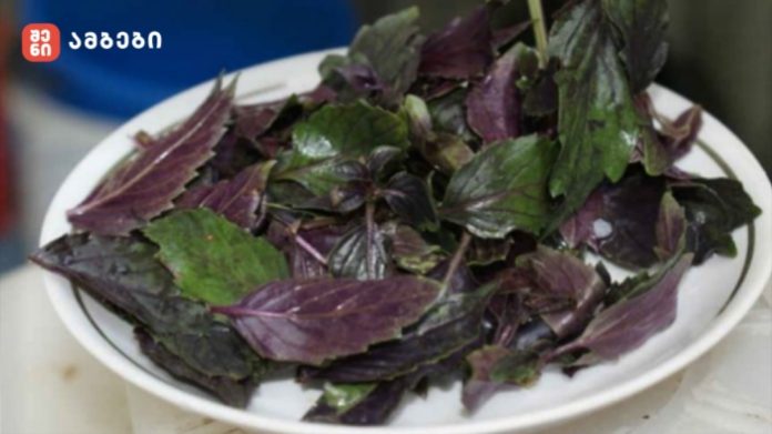 Bowl of fresh purple basil leaves on a white plate, showing green and deep purple foliage.