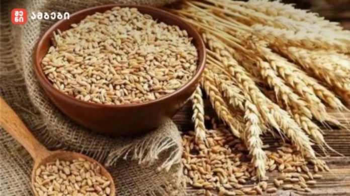 Bowl of barley grains with wheat stalks on a wooden table.