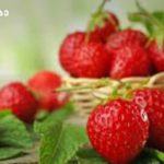 Fresh ripe strawberries in a wicker basket on a wooden surface, green garden background.