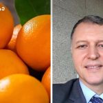 Left: close-up of bright oranges; right: man in a suit smiling in a hallway, taking a selfie.