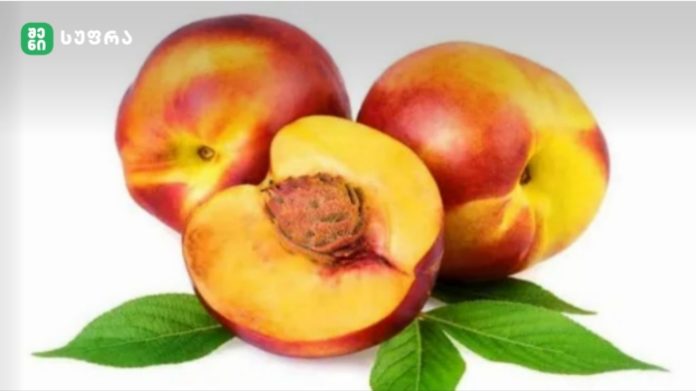 Three ripe peaches, one cut open to reveal the pit, with green leaves on a white gradient background.