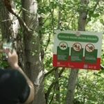 Person in a forest taking a photo of a large sign attached to a tree.