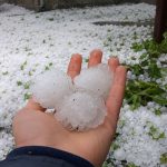 Hand holding three large hailstones, with a yard covered in hail pellets behind.