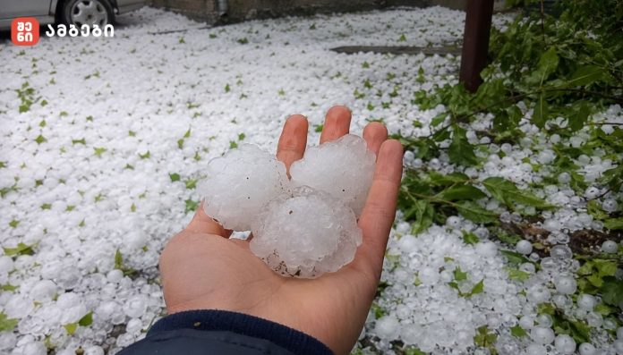 Hand holding three large hailstones, with a yard covered in hail pellets behind.