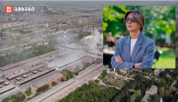 რა გეგმები აქვს რუსთავის მერიას ჰაერის დაბინძურების შემცირებისთვის? - ქალაქისთვის ერთ-ერთი უმნიშვნელოვანესი მიმართულება ჭალის ტყის განვითარებაა