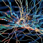 Abstract image of colorful interwoven neon lines on a dark background, like a network map