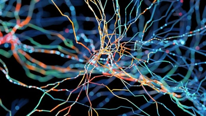 Abstract image of colorful interwoven neon lines on a dark background, like a network map